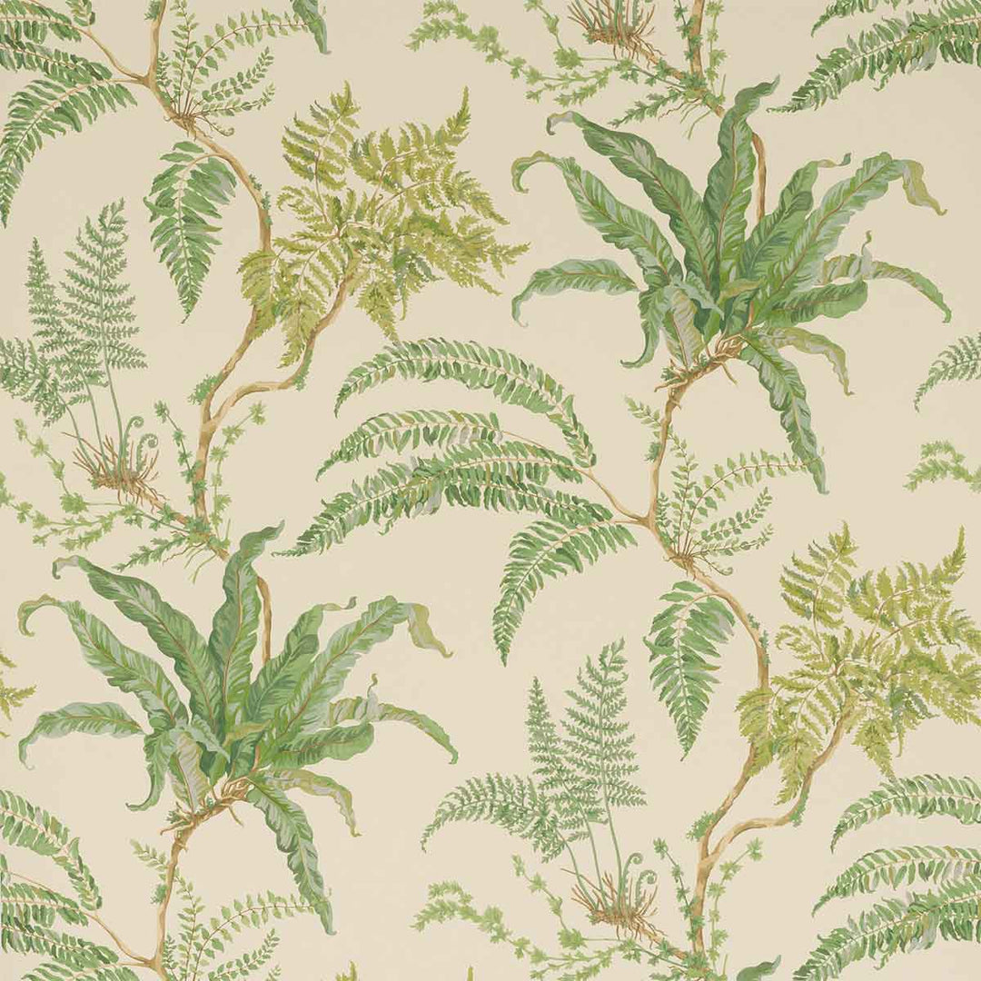 Colefax & Fowler Woodfern Wallpaper | Green | W7015-01