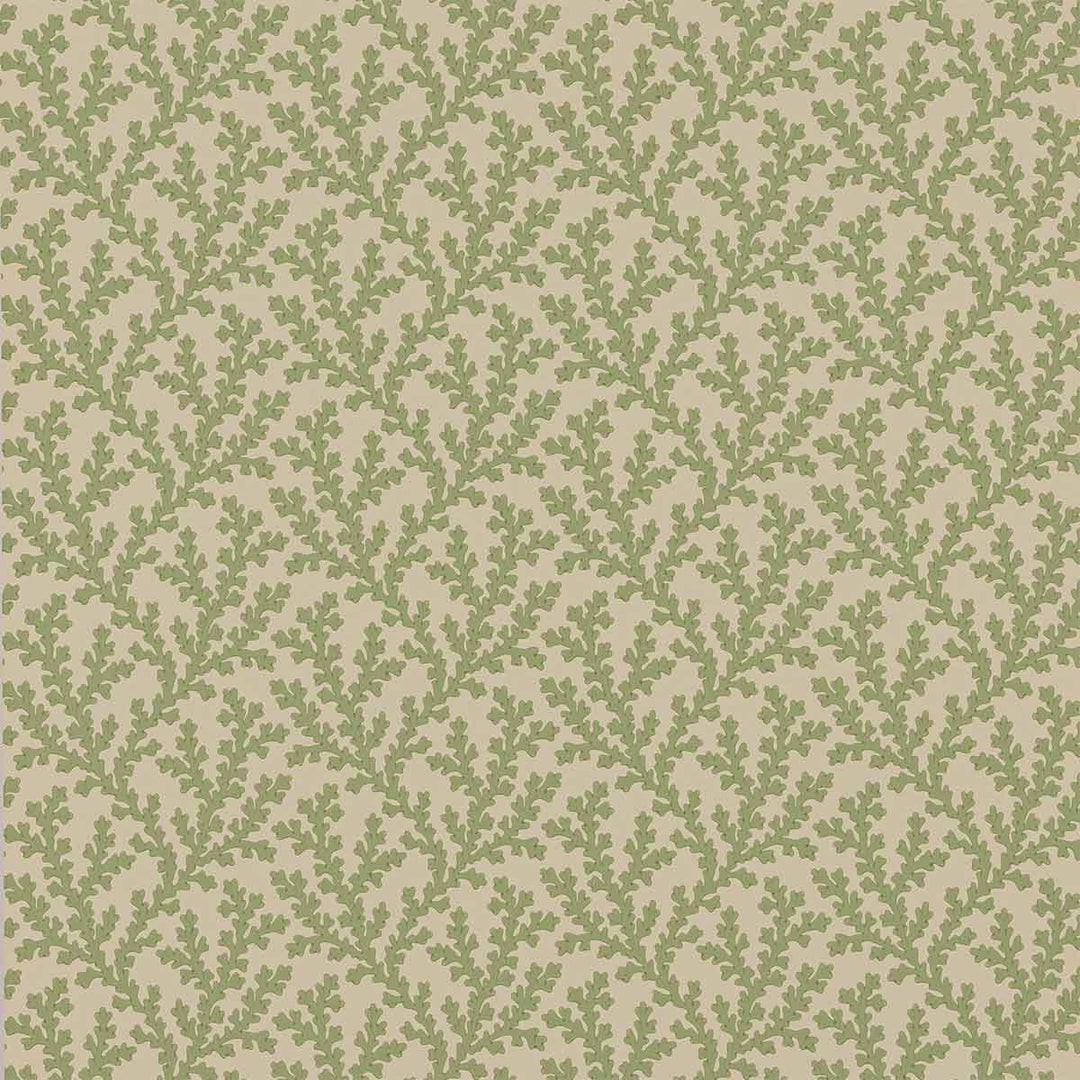 Colefax & Fowler Sea Coral Wallpaper | Green | W7020-01