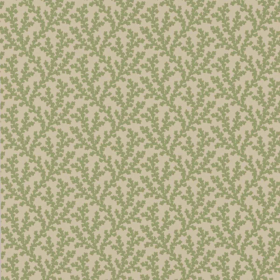 Colefax & Fowler Sea Coral Wallpaper | Green | W7020-01