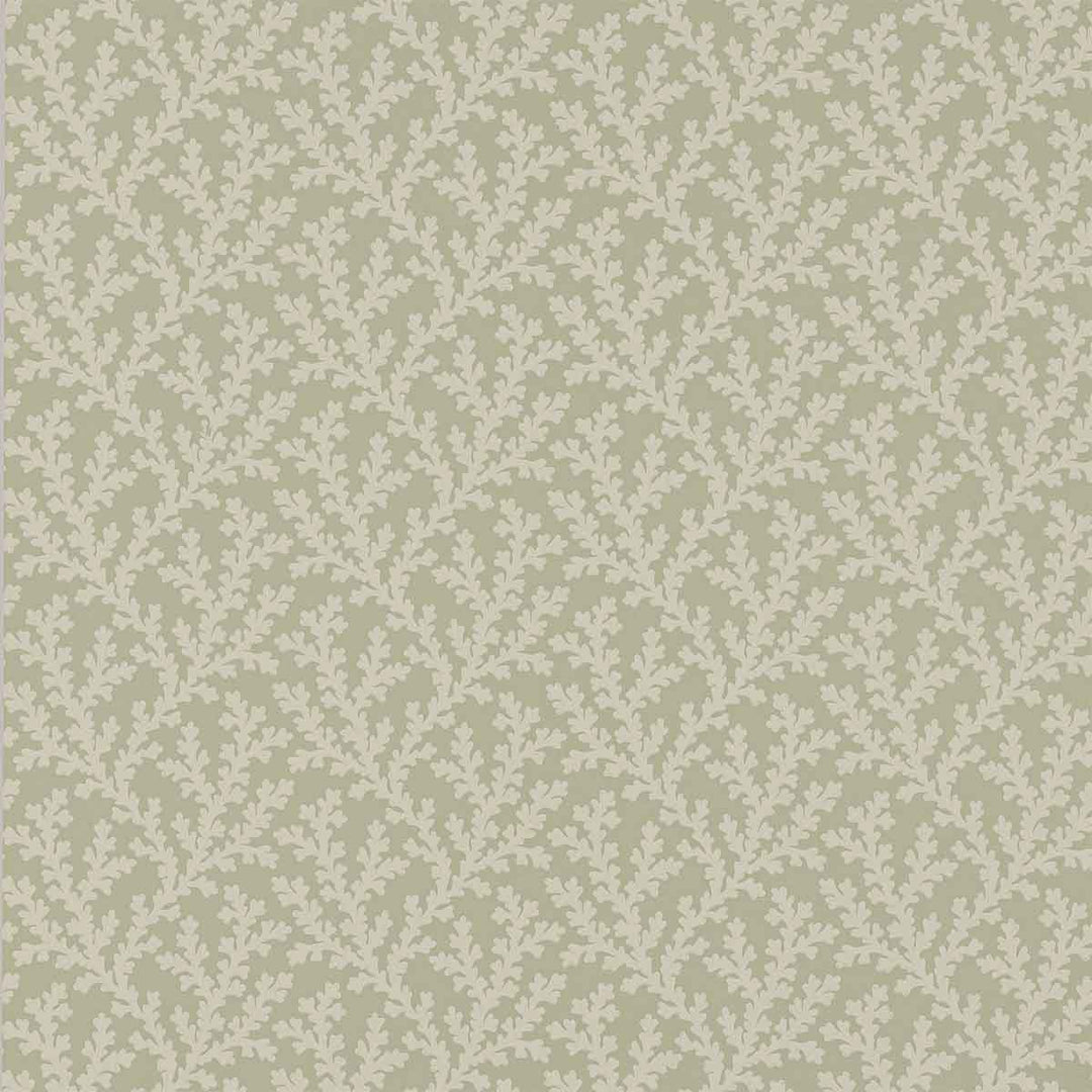 Colefax & Fowler Sea Coral Wallpaper | Willow | W7020-04