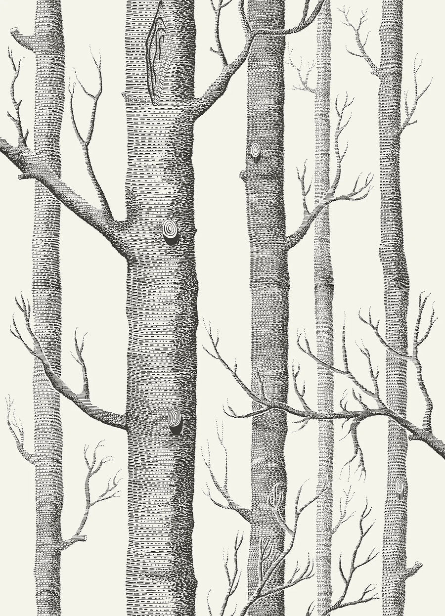 Woods Wallpaper by Cole & Son - 69/12147 | Modern 2 Interiors