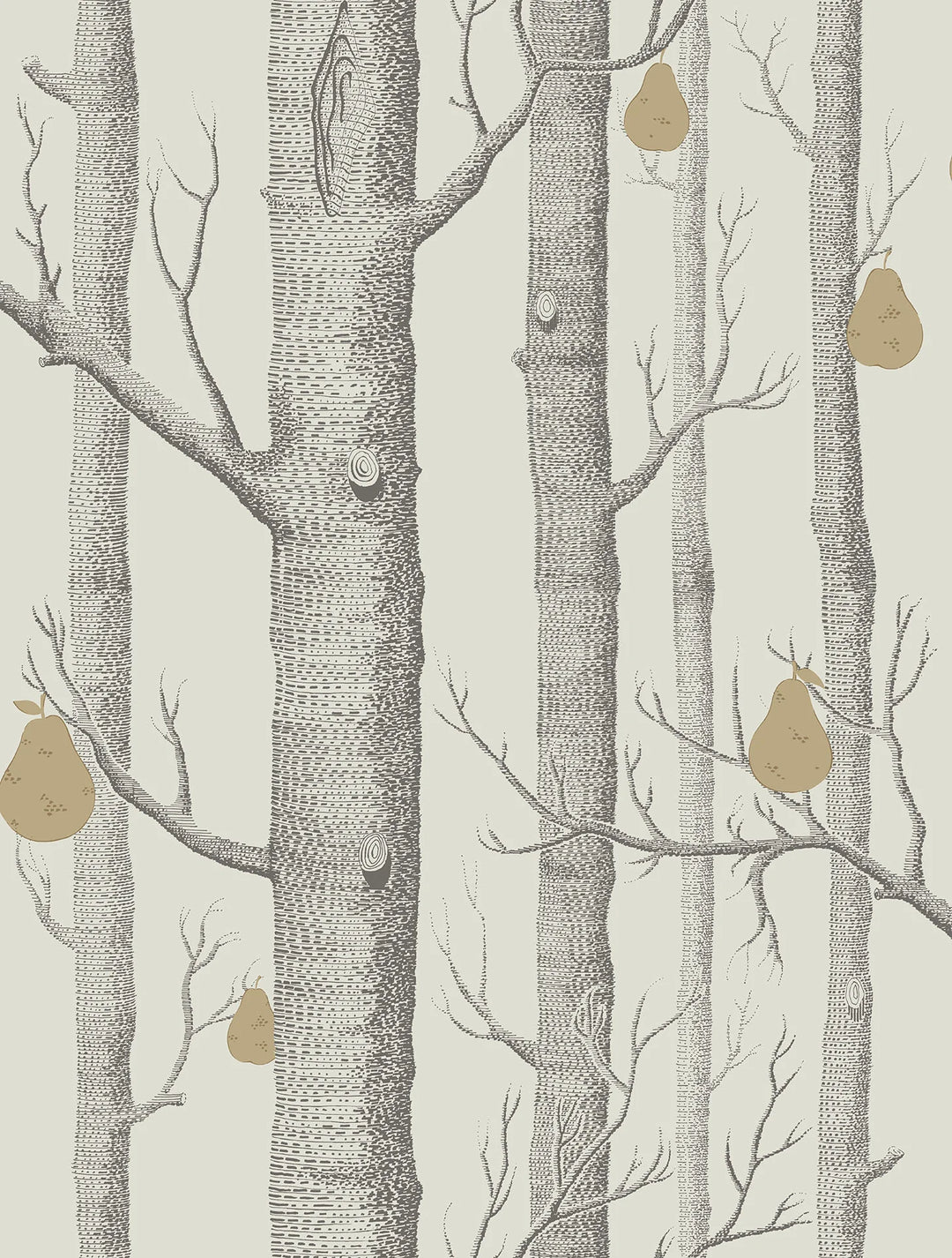 Woods & Pears Wallpaper by Cole & Son - 95/5032 | Modern 2 Interiors