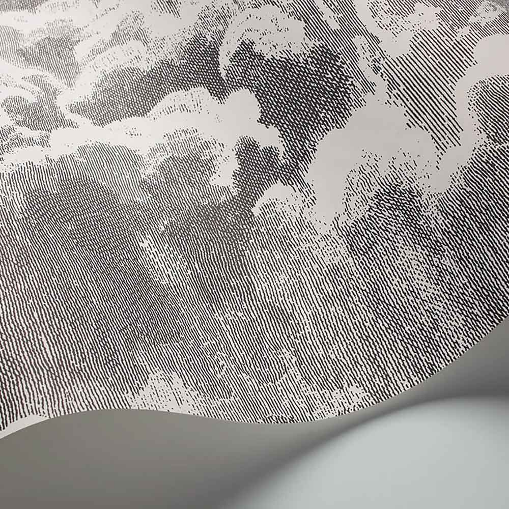 Cole & Son Nuvolette Wallpaper | 114/28054 | displays an unrolled wallpaper highlighting the cloud formation pattern with a complementary white background