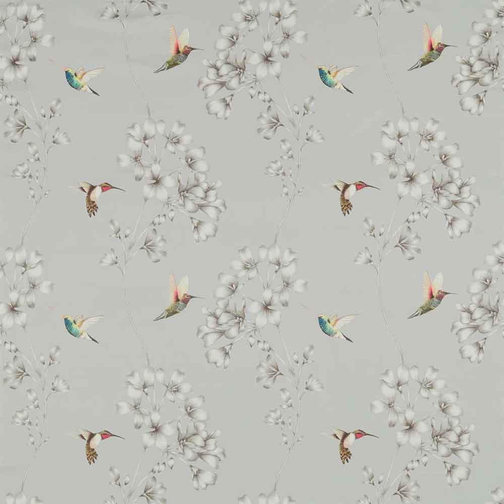 Amazilia French Grey Fabric