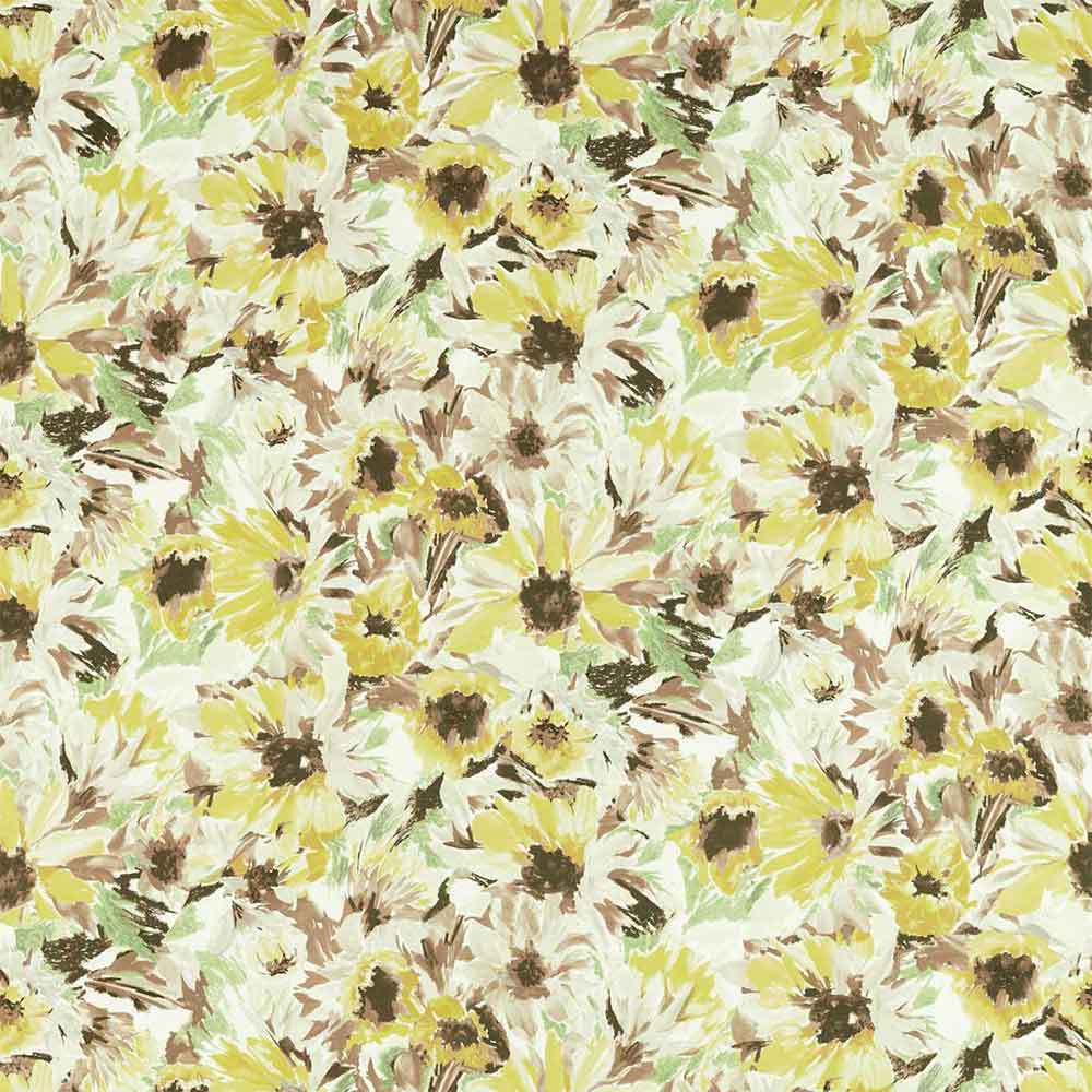 Helianthus Sunflower & Grass & Awakening Fabric