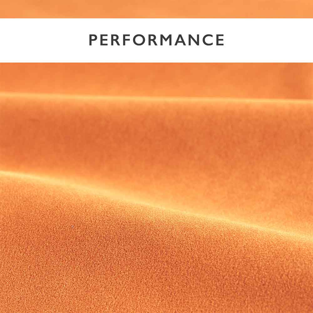 Performance Velvets Clementine Fabric