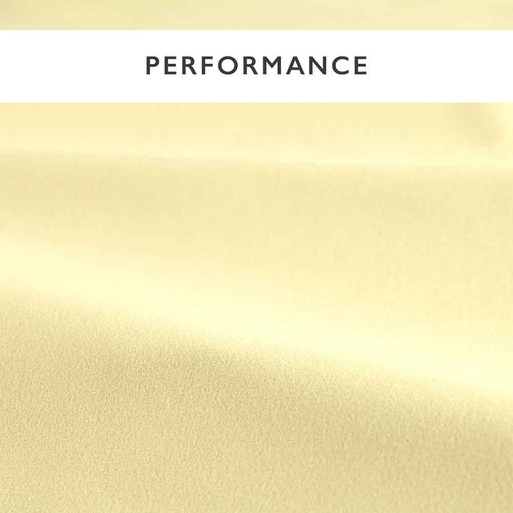 Performance Velvets Raffia Fabric