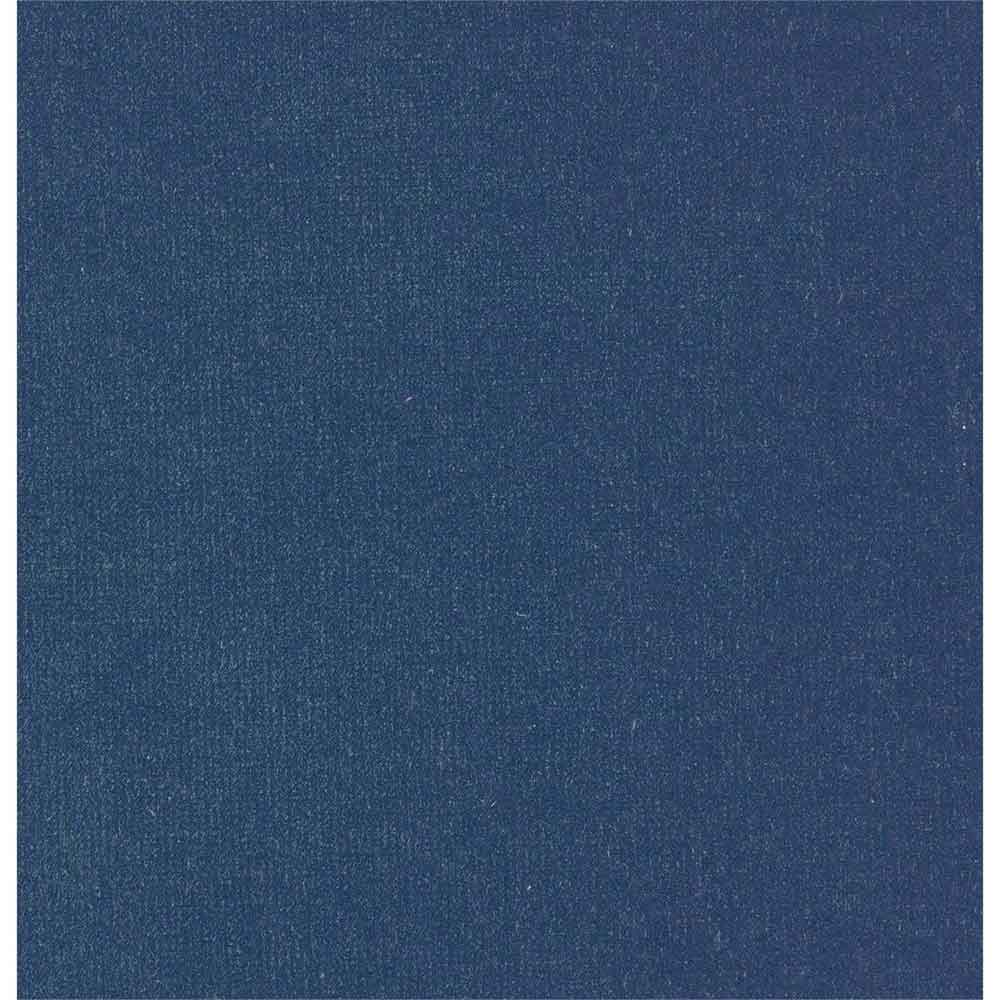 Plush Velvet Blueberry Fabric