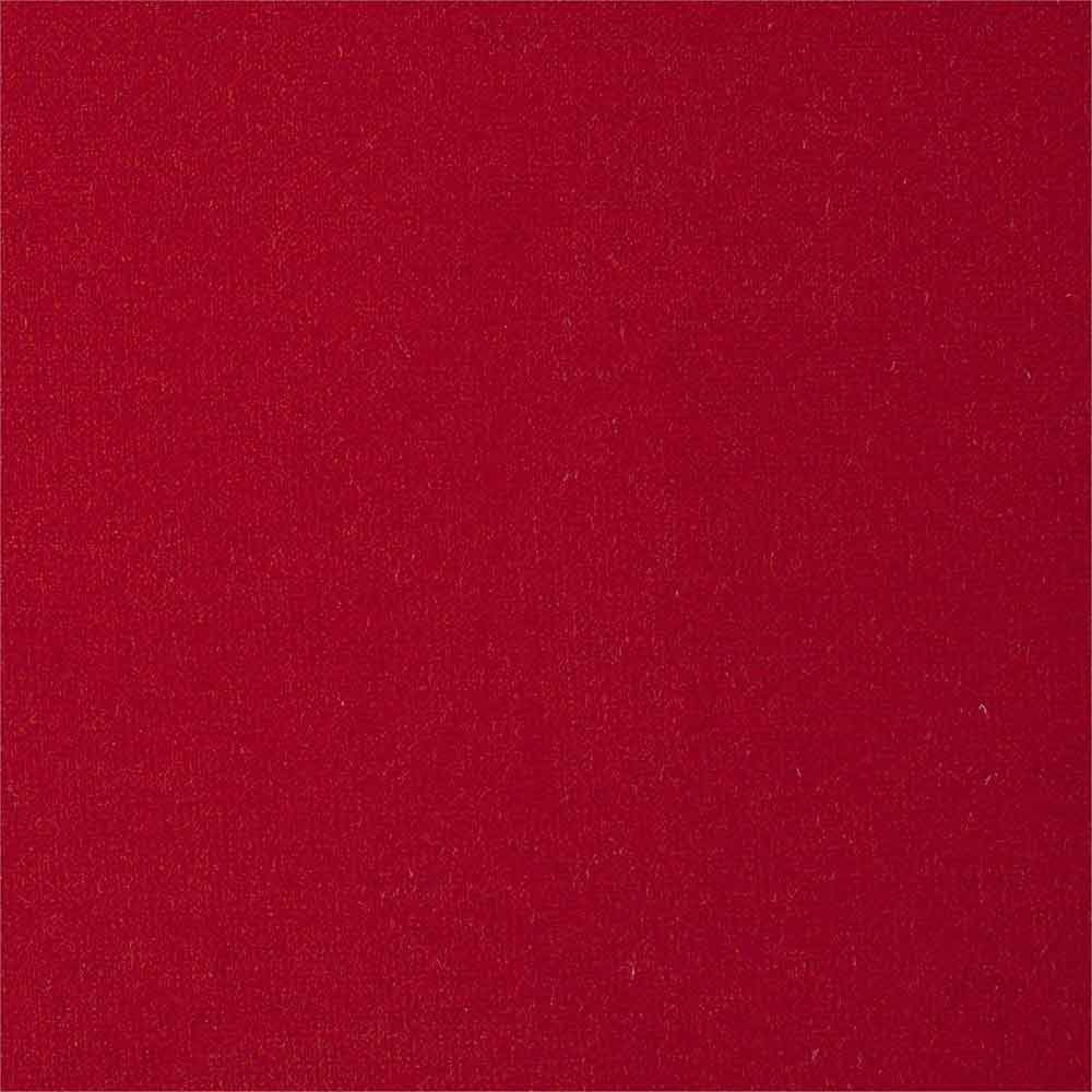 Plush Velvet Sour Cherry Fabric