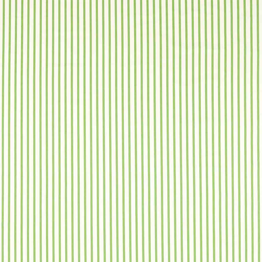 Ribbon Stripe Peridot Fabric