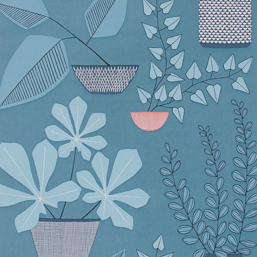 MissPrint House Plants Wallpaper | Blue Room | MISP1175