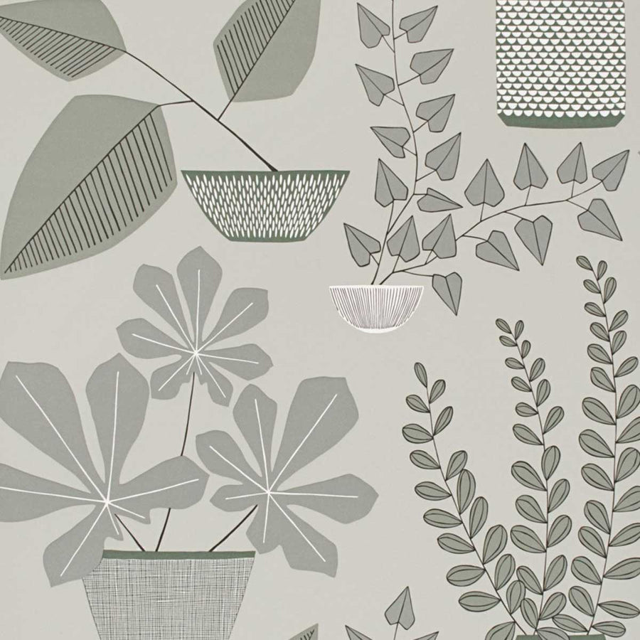 MissPrint House Plants Wallpaper | Brampton | MISP1177
