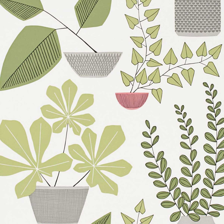 MissPrint House Plants Wallpaper | Olive | MISP1176