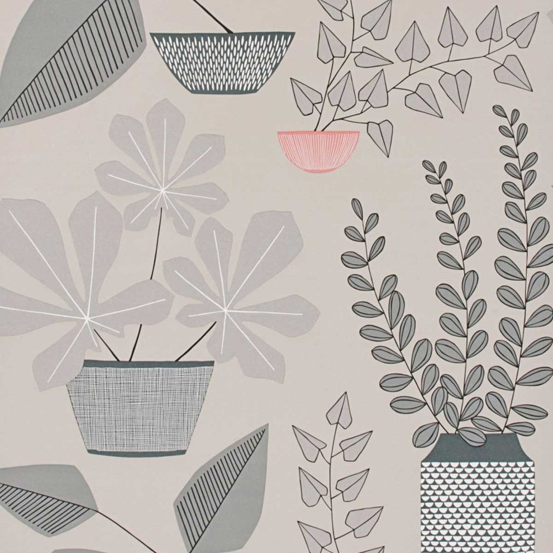 MissPrint House Plants Wallpaper | Pompeii | MISP1179