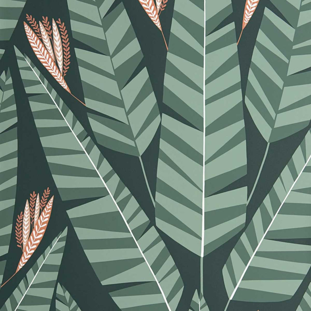 MissPrint Jungle Wallpaper | Rainforest | MISP1349