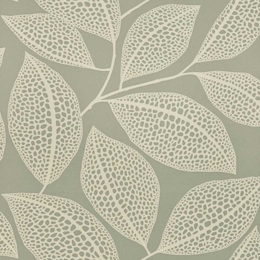 MissPrint Pebble Leaf Wallpaper | Tusk | MISP1040