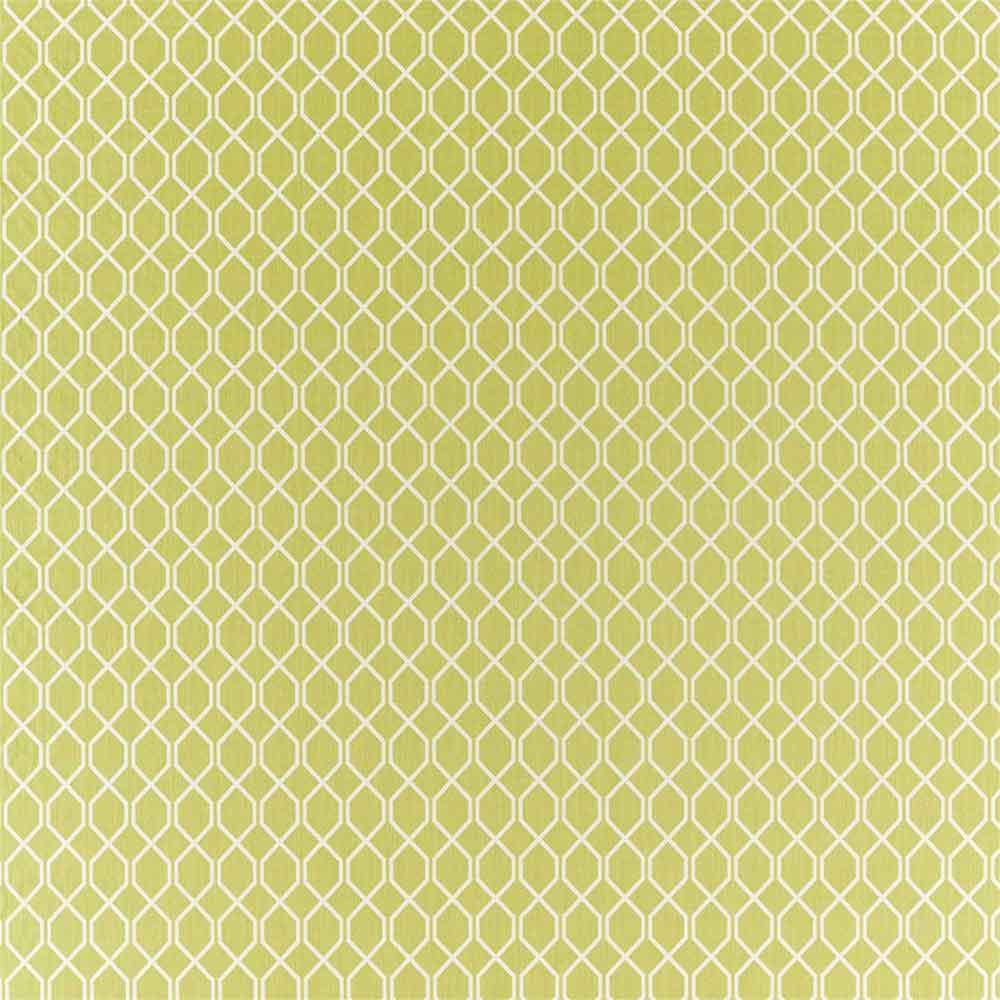 Botanic Trellis Lime Fabric