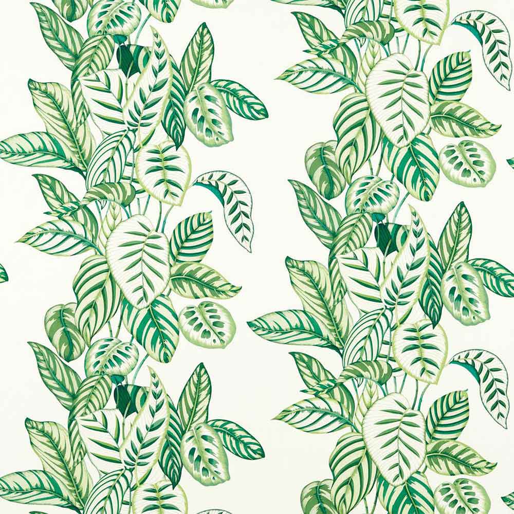 Calathea Botanical Green Fabric