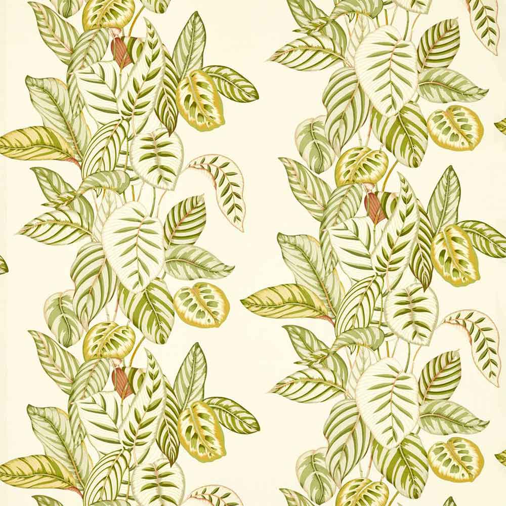 Calathea Samphire Fabric