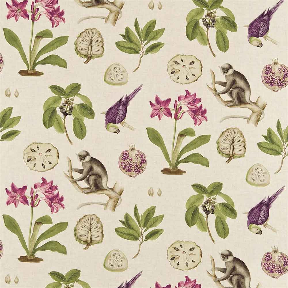 Capuchins Boysenberry Fabric