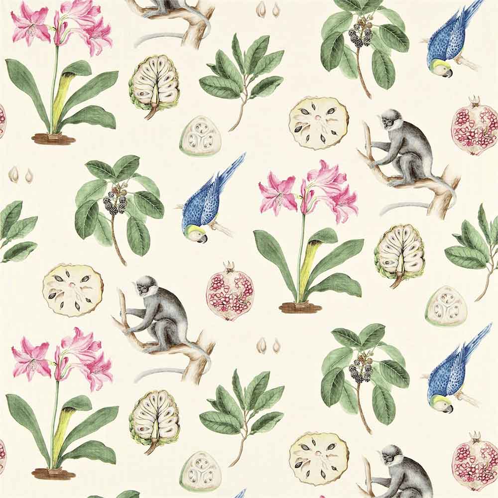 Capuchins Chintz Fabric