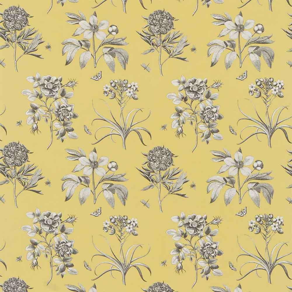 Etchings & Roses Empire Yellow Fabric