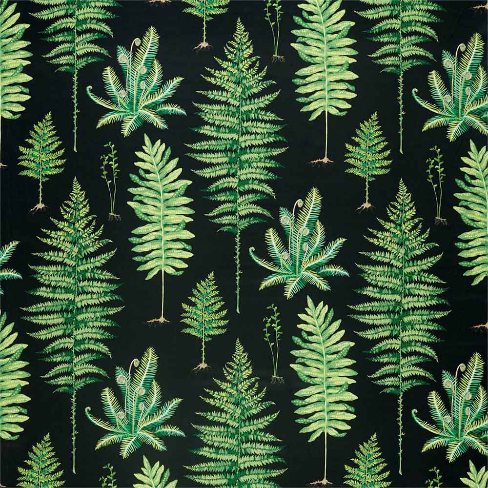 Fernery Botanical Green & Charcoal Fabric