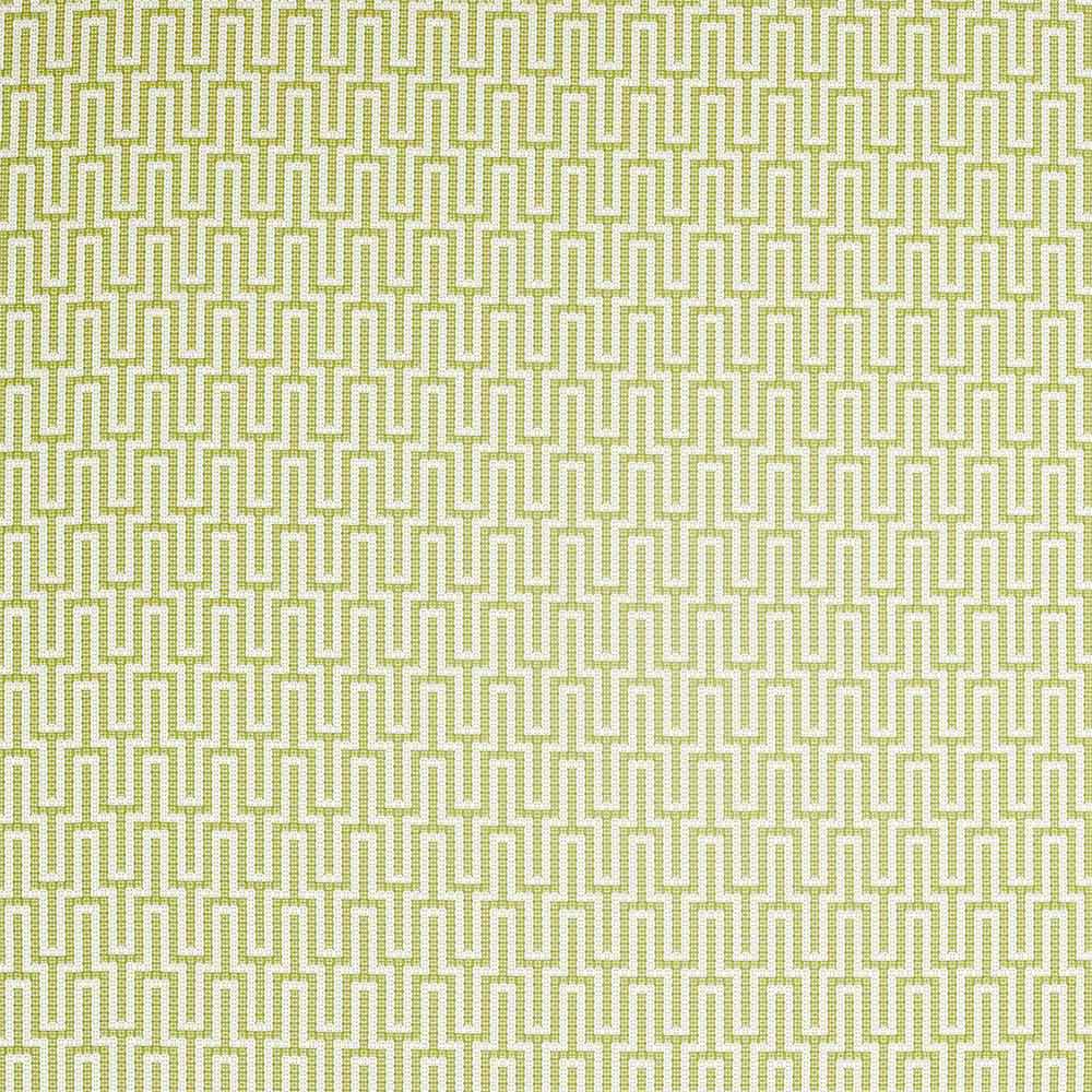 Linnean Linnean Lime Fabric