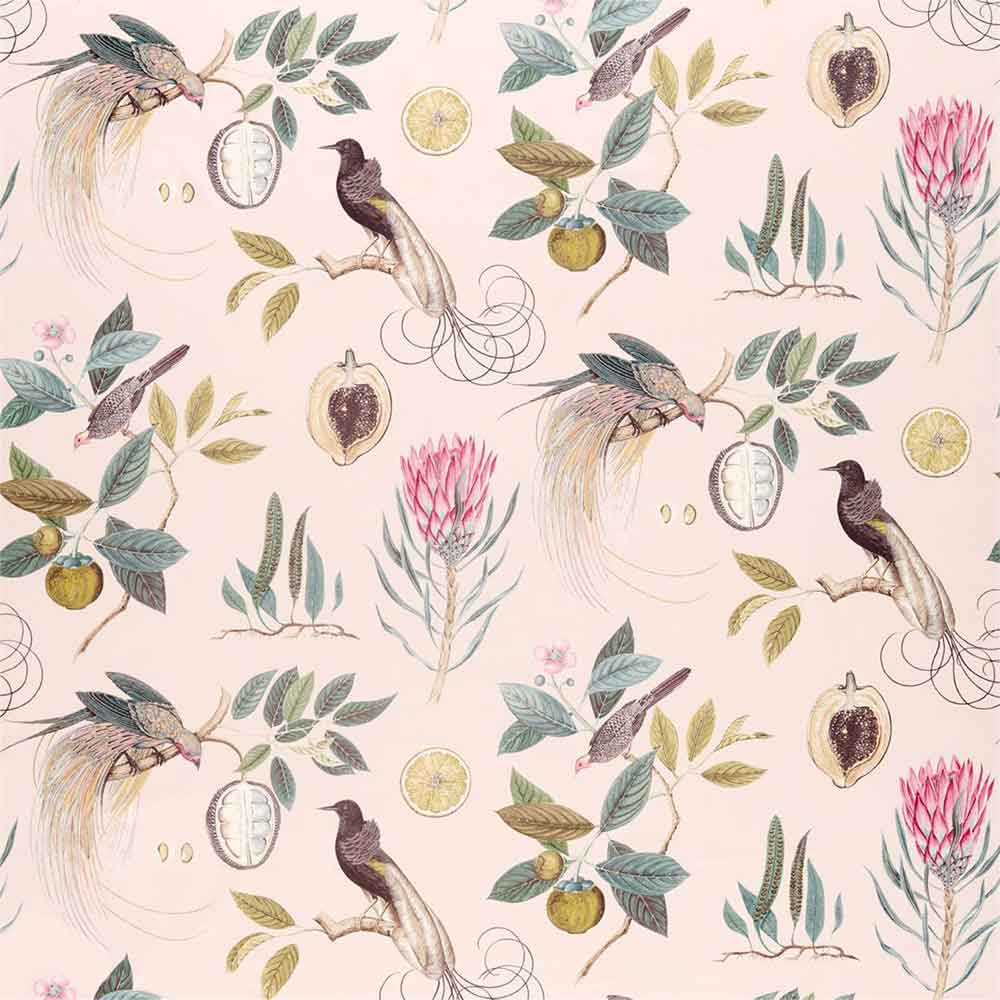 Paradesia Orchid & Grey Fabric