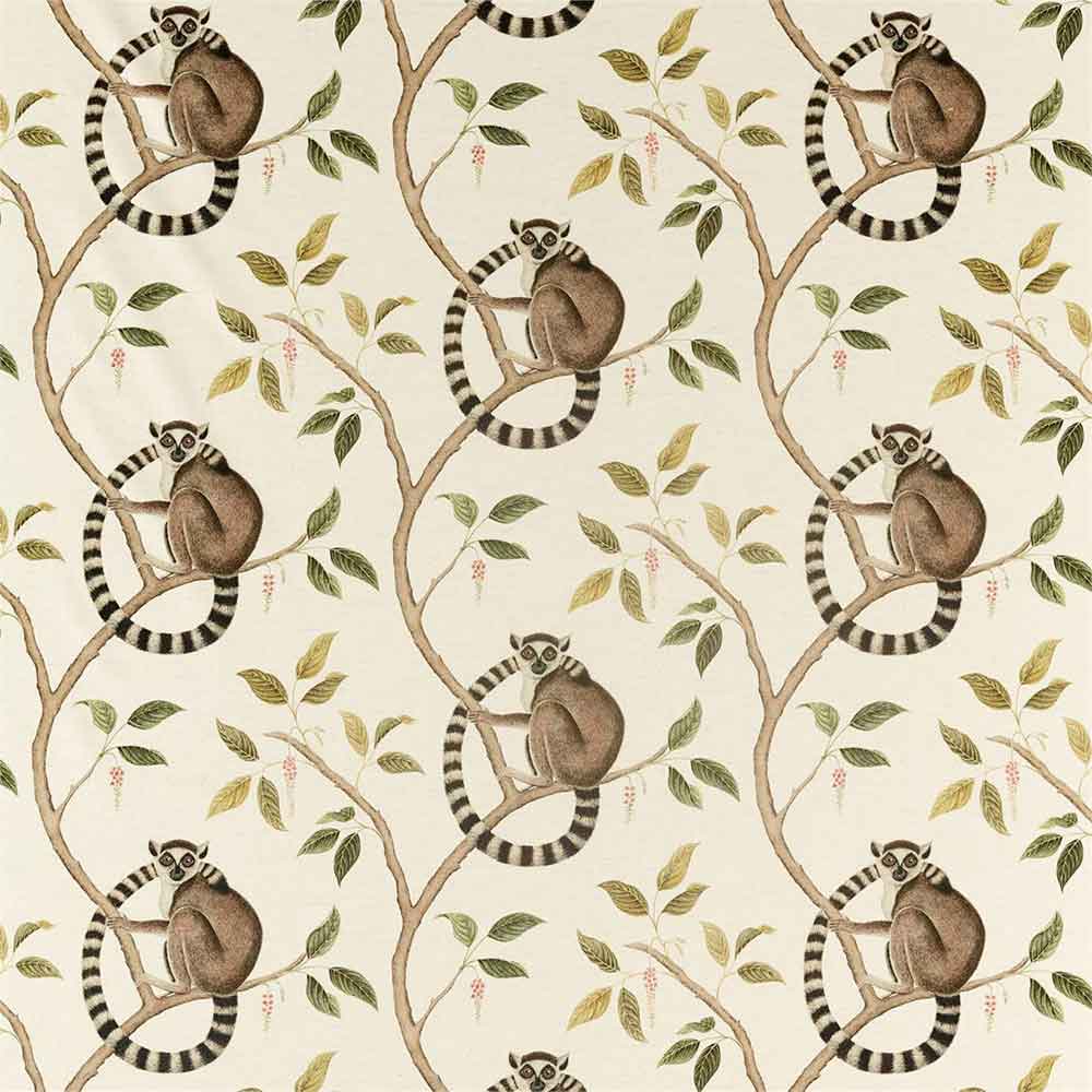 Ringtailed Lemur Ringtailed Lemur Olive Fabric