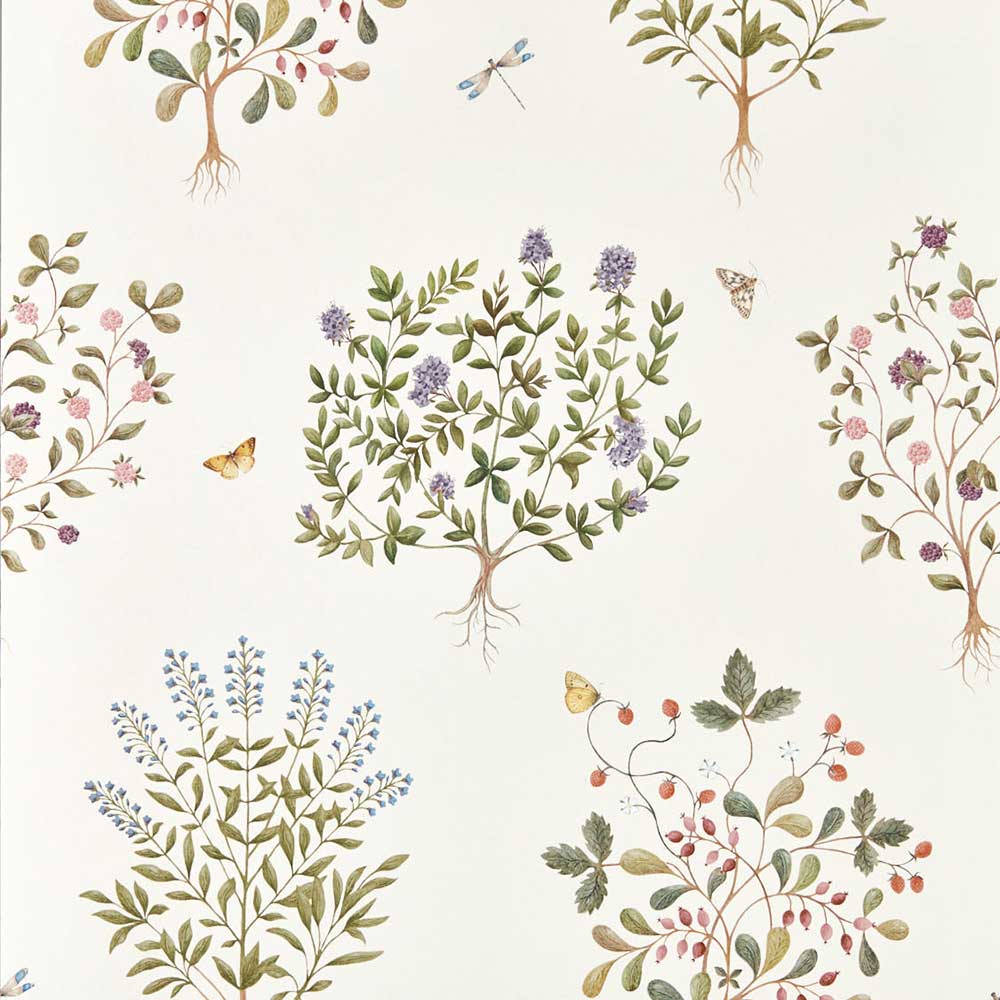 Thyme Walk Damson & Quince Wallpaper