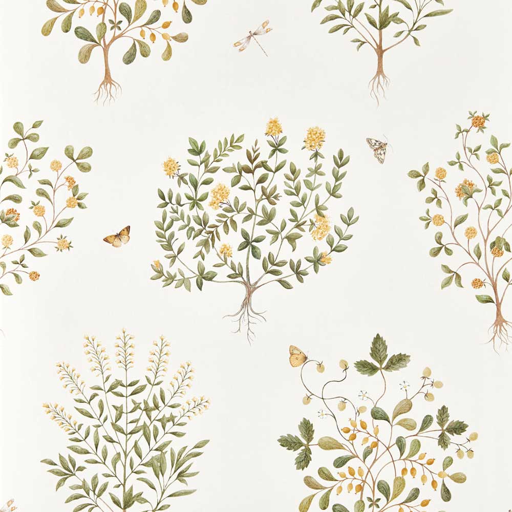 Thyme Walk Lichen & Gooseberry Wallpaper