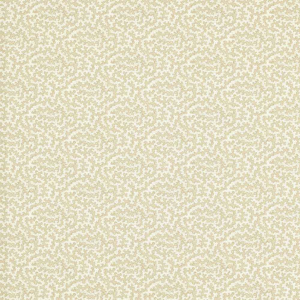 Truffle Sand Dollar Fabric