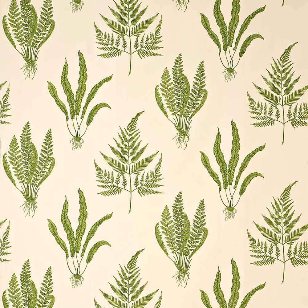 Woodland Ferns Green Fabric