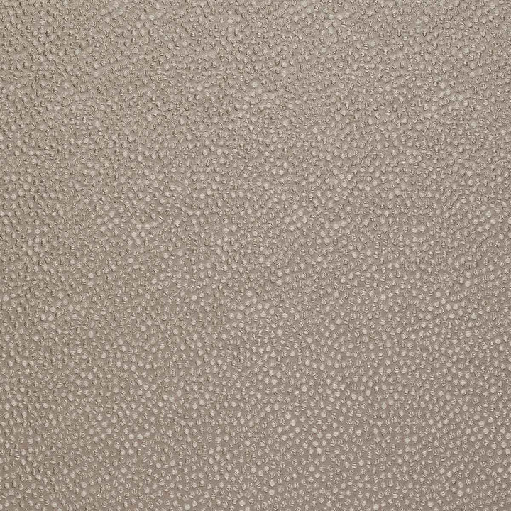 Shagreen Silk Cassava Fabric