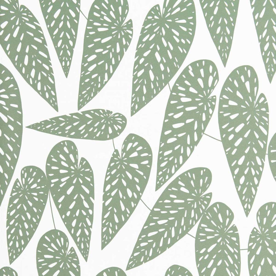 MissPrint Tropics Wallpaper | Foliage | MISP1290