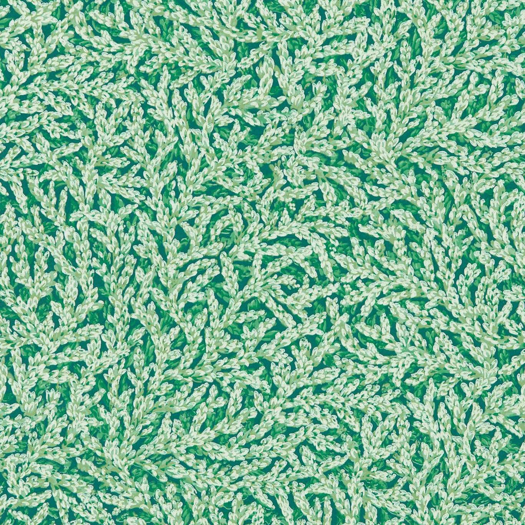 Nootka Poison Wallpaper