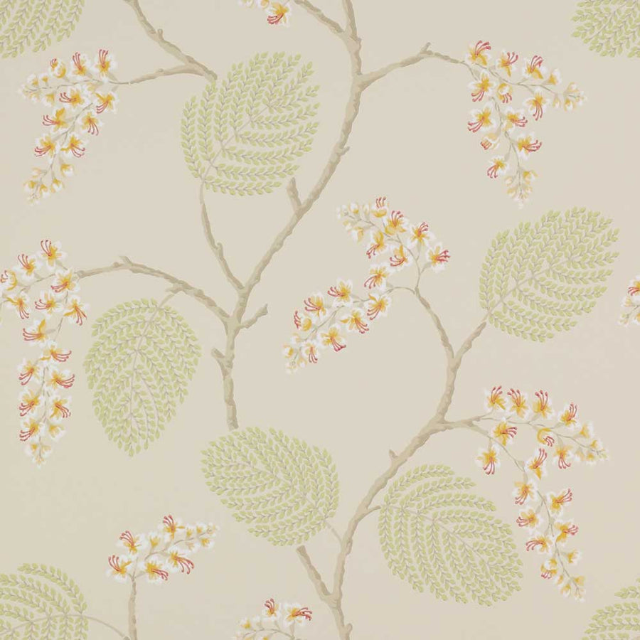 Colefax & Fowler Atwood Wallpaper | Coral & green | 7141/05