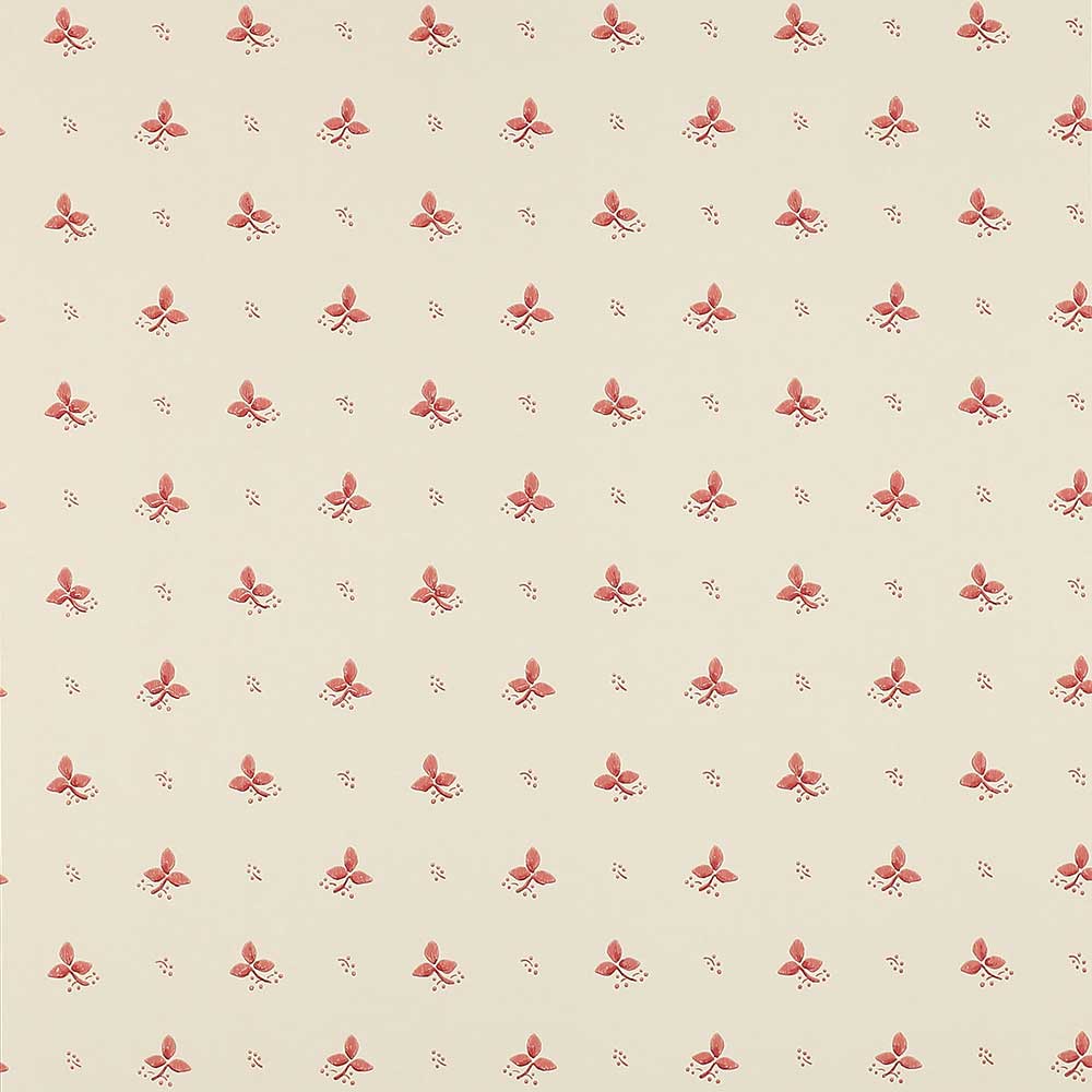 Colefax & Fowler Ashling Wallpaper | Pink | 7406/04