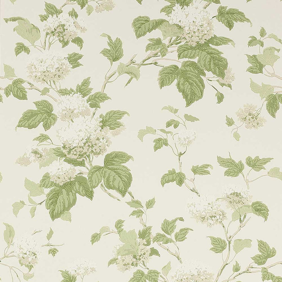 Colefax & Fowler Chantilly Wallpaper | Ivory & Silk | 7816/09