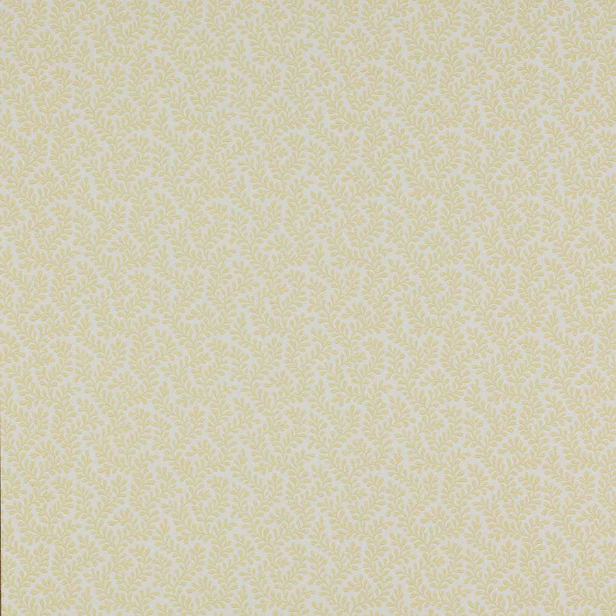 Colefax & Fowler Rushmere Wallpaper | Yellow | 7985/01