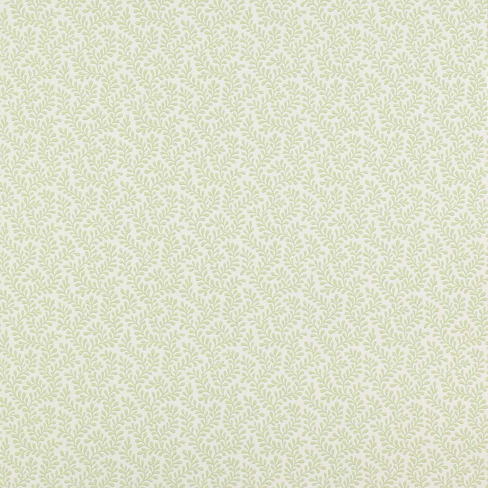 Colefax & Fowler Rushmere Wallpaper | Leaf | 7985/04