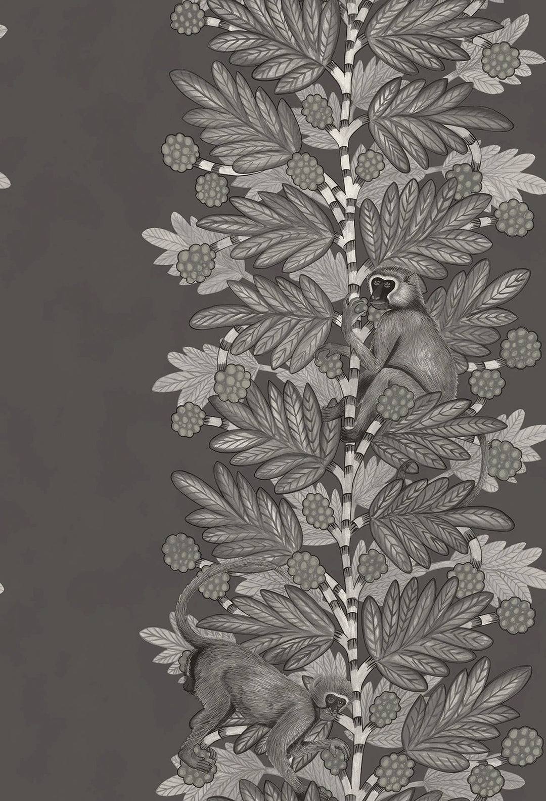 Acacia Wallpaper by Cole & Son - 109/11055 | Modern 2 Interiors