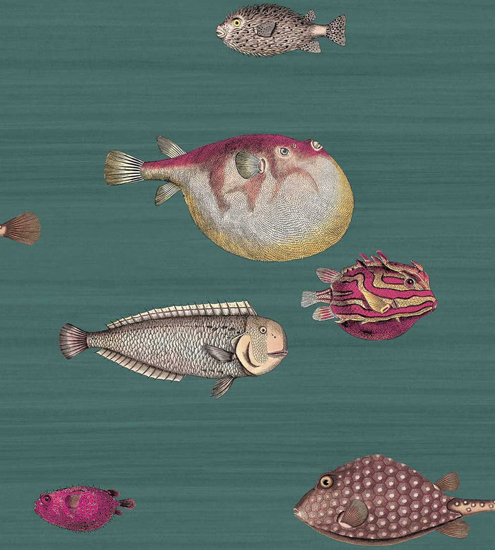 Cole & Son Acquario Wallpaper | Dark Viridian | 114/2024 | Acquario is a feature wallpaper featuring a marine life designed print 
