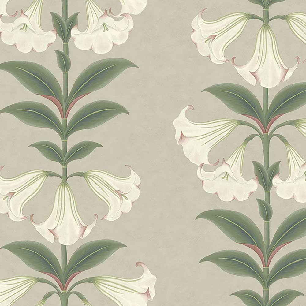Angel's Trumpet Wallpaper by Cole & Son - 117/3007 | Modern 2 Interiors