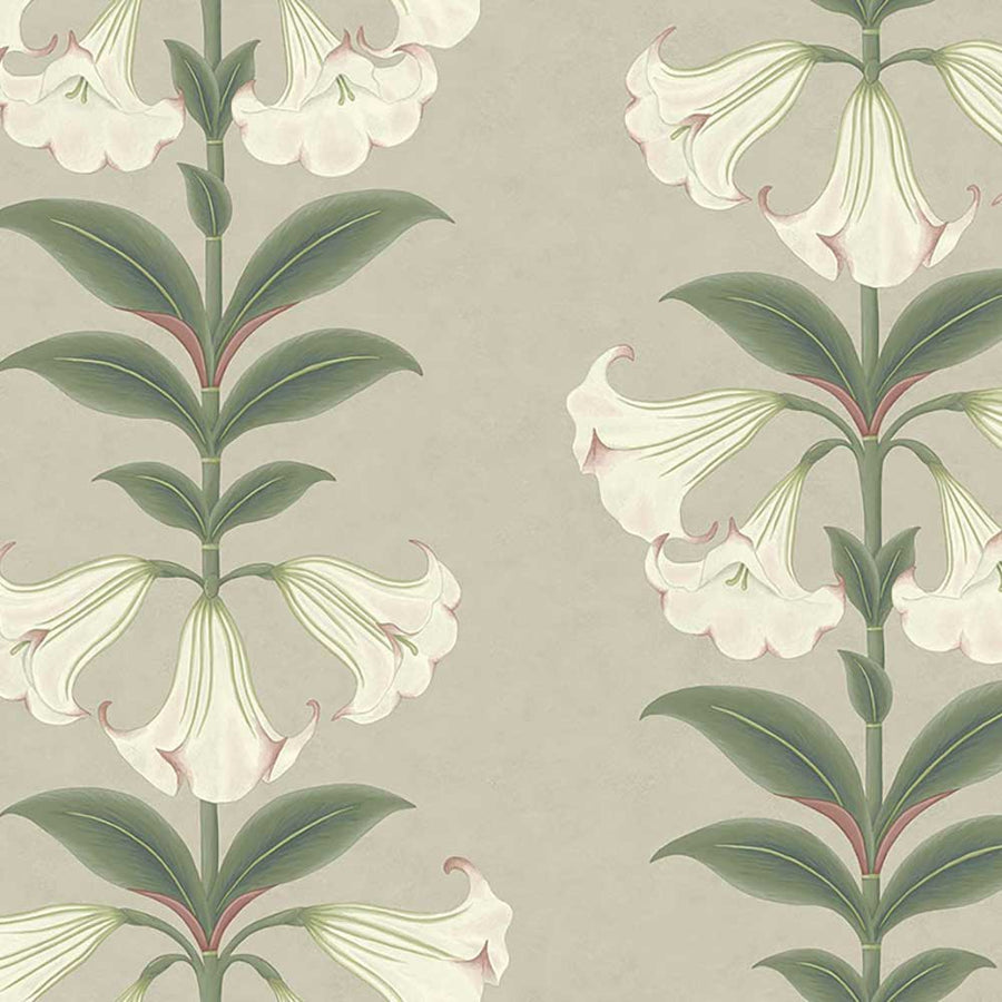 Angel's Trumpet Wallpaper by Cole & Son - 117/3007 | Modern 2 Interiors