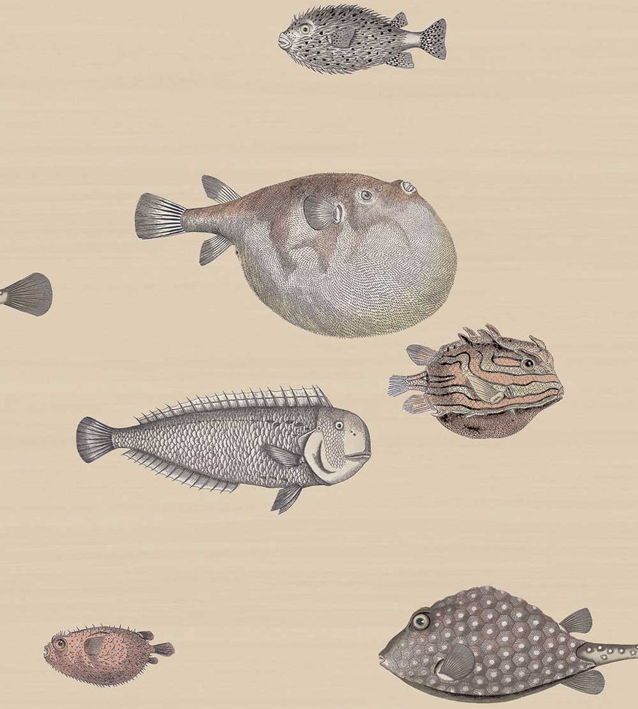 Cole & Son Acquario Wallpaper | Taupe | 114/16033 | Acquario is a feature wallpaper featuring a marine life designed print 