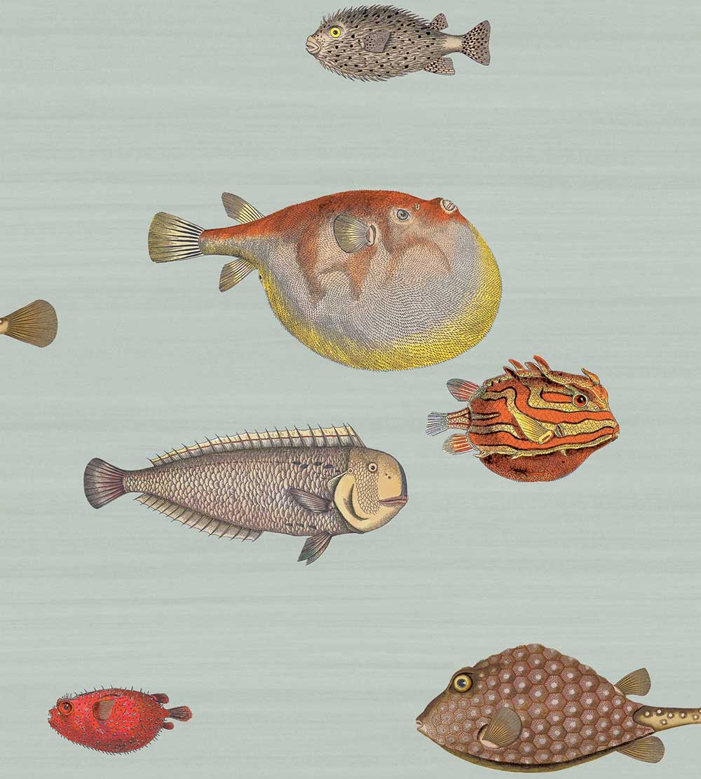 Cole & Son Acquario Wallpaper | Print Room Blue | 97/10030 | Acquario is a feature wallpaper featuring a marine life designed print