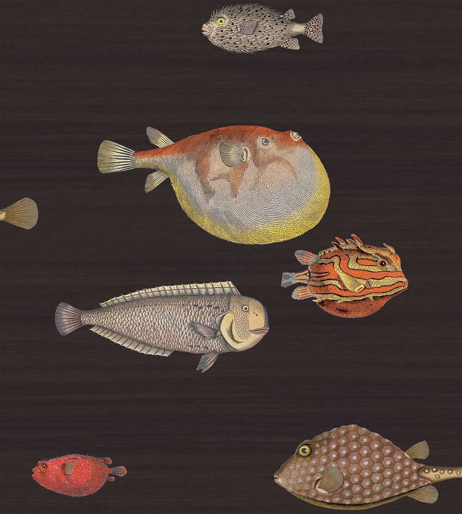 Cole & Son Acquario Wallpaper | Charcoal | 97/10048 | Acquario is a feature wallpaper featuring a marine life designed print 