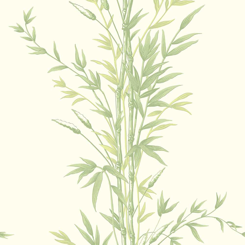 Bamboo Wallpaper by Cole & Son - 100/5023 | Modern 2 Interiors